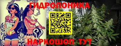 ПСИЛОЦИБИНОВЫЕ ГРИБЫ Кунгур